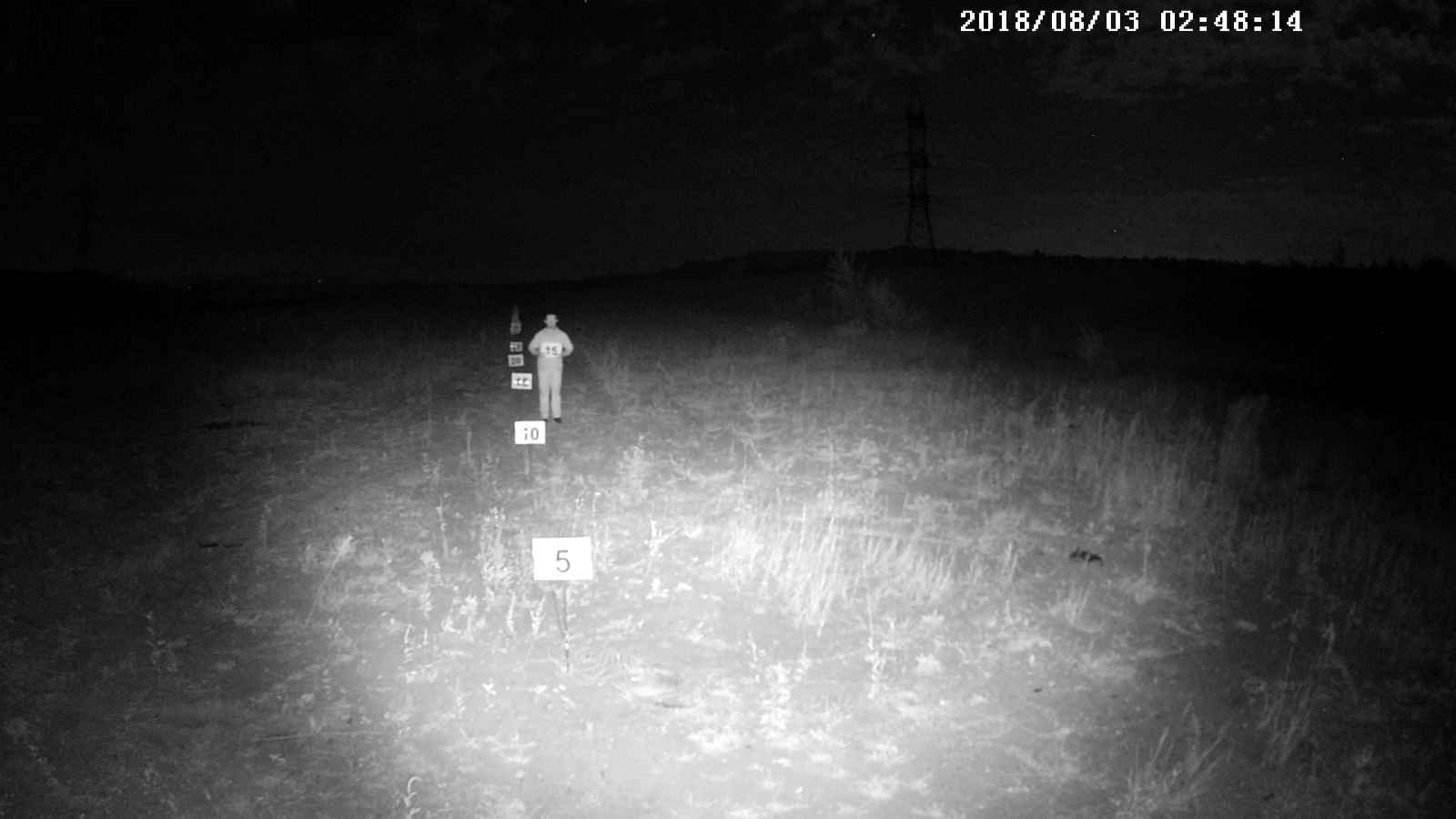 Starlight "ночь" вполе