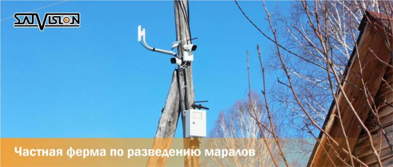 Частная ферма по разведению маралов